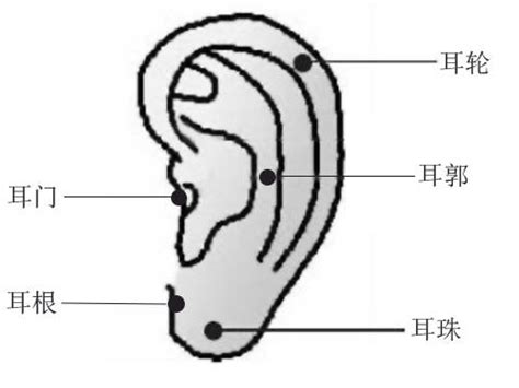 耳痣|耳朵痣的位置与命运图解大全